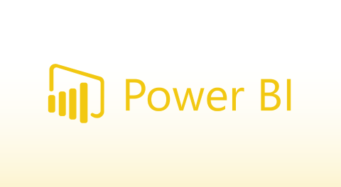 PowerBI partner