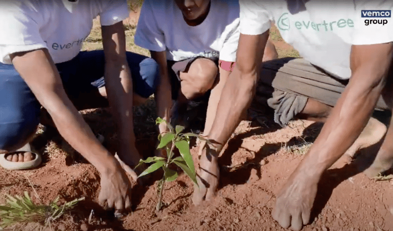 Vemco Group x Evertreen 