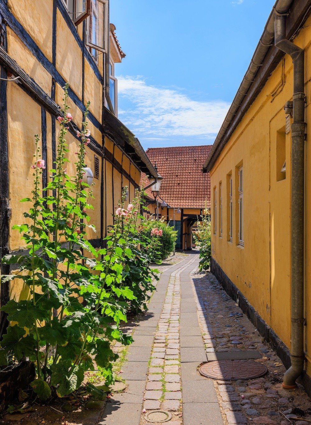 odense dk